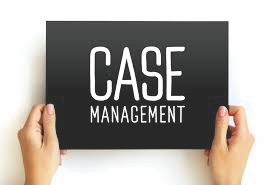 Case management workspace preview